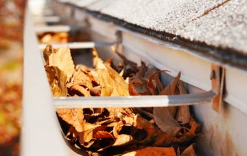Mastin Moor gutter cleaning companies
